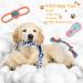 Rio Direct Plush Dog Toys for Small Dogs - 8 Quieted Cotton Rope Toys Non-Toxic & Washable Puppy Toys in Cute Rabbit Style - Buy Online on GoSupps.com