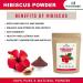 READ QURA Amla Powder Indian gooseberry with hibiscus flower powder Hibiscus rosasinensis 100 natural pure and organic for hair and skin care 100 g +100 g 200 g Pack of 2 - Buy Online on GoSupps.com