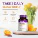 Whollium Immune Support Capsules - Elderberry with Vitamin C, D3, Zinc, Selenium, Echinacea, Garlic, Ginger & Black Pepper for Antioxidant Boost - 60 Vegetarian Caps - Buy Online on GoSupps.com