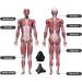 Rymall Trigger Point Presser Massage Device Set - 3 Pieces for Muscle Pain Relief Painless Self-Massage with Suction Cup & Bag (Dark Black) - Buy Online on GoSupps.com