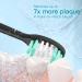 8 Pack Replacement Toothbrush Heads for Aquasonic Black Series and Vibe Series - Compatible with Black Series Pro and Duo Pro (Black) - Buy Online on GoSupps.com