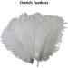 OstrichFeather Wedding Decor | Natural OstrichPlumes | Feather Accessories for Clothing Wedding Feather Centerpieces OstrichFeather Bouquet Bulk Ostrichfeathers - Buy Online on GoSupps.com