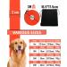 Looxmeer Rubberized Dog Tow Lines - 3m to 30m Leashes for Small & Medium Dogs | Neon Orange Practice Leash - Buy Online on GoSupps.com