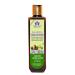 Blessfull Healing Organic Amla & Reetha Hair Cleanser | Shampoo 200 ML (Packing May Vary)