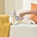 4-in-1 Animal Hair Removal Comb with Water Tank | Multifunctional Cat Brush for Pet Care & Massage - Pink - Buy Online on GoSupps.com
