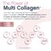 NeoCell Liquid Multi Collagen Peptides | 16 fl oz | with Biotin | Advanced Nourishing Formula | 10 Types of Bio-Peptides | Hair Skin & Nails | for Women and Men - Buy Online on GoSupps.com