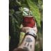 Yerba Mate Taragui agrumes - Citricos del Litoral - 500g 500 g (Lot de 1) - Buy Online on GoSupps.com