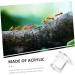 Minkissy 4-Piece Ant Feeding Station Set - Clear Ant Farm for Colony Observation - 2.5x2.1CM Ant Habitat - Buy Online on GoSupps.com