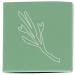 Cocokind Sea Moss Exfoliator - Gentle Exfoliation & Nourishing Skin | 1.2 OZ | Shop Internationally - Buy Online on GoSupps.com