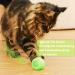 Peticularz Cat Toys - Self-Employment Electrical Powerball 2.0 | Interactive Wloom Intelligence Magic Ball for Cats - Green with Petals - Buy Online on GoSupps.com
