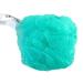 Clean Logic Mesh Bath Sponge 40G (6 Pack) - Assorted Colors - Buy Online on GoSupps.com