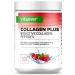 Collagen Plus - 500g Powder with MSM Glucosamine HCL Hyaluronic Acid Frankincense Extract - 100% Bioactive Collagen Hydrolysate Peptide - Collagen Type 1 2 & 3 - Raspberry Strawberry