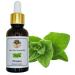 100% Pure Greek Oregano Essential Oil 30 ml to 1000 ml High Carvacrol (100 ml) 100 ml (Pack of 1)