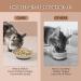 Ceramic Cat Food Bowl Set - Colorful Cat Feeding Bowls with Non Slip Mat - Wide Shallow Cat Bowl Whisker Friendly - Cat Plates - Cute Cat Dish - Microwave Dishwasher Safe - 6 Pack - 8.5 oz - 5.75 inch 6 Colors - Buy Online on GoSupps.com