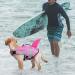 Queenmore Adjustable Dog Life Jacket - XS Pink Shark - High Buoyancy & Durable Rescue Handle for Small & Medium Dogs - Buy Online on GoSupps.com