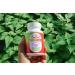 Eclectic Institute Raw Freeze-Dried Nettle Root 250mg - 90 Non-GMO Veg Capsules - Buy Online on GoSupps.com