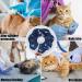 Pet Recovery Collar - Adjustable Soft Cone for Cats & Puppies, Blue - Small Size - Buy Online on GoSupps.com