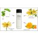 Raya Aloe Vera and Herbs Soothing Gel - Effective Moisturizer for Face & Body Relieves Dry & Irritated Skin - Buy Online on GoSupps.com