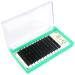 Premium Flat Lashes 0.15/0.20 - Ellipse C CC D DD Curl - Matt Black Extensions 8-15mm Mix - 1 Pack (D-0.20 15mm) - Perfect for Professional Lash Artists - Buy Online on GoSupps.com