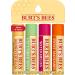 Burt's Bees 100% Natural Moisturizing Lip Balm 4-Pack Gift Set | Natural Lip Balms Bundle - Buy Online on GoSupps.com