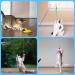 Shop Ukofew 12-Piece Cat Fishing Toys with Springs & Feathers Interactive Fun for Cats of All Sizes | International Shipping Available - Buy Online on GoSupps.com