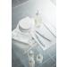 ZWILLING TWINOX Blackhead Remover Set - Stainless Steel 2 Loops & Tweezers for Clean, Mint Extraction - Buy Online on GoSupps.com