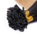 Buy #1B/24 Ombre Keratin Bonding Hair Extensions - 70cm - 25 Strands - 100% Remy Real Hair - U-Tip by Novon - Buy Online on GoSupps.com