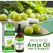 Amla Hair Oil Indian Amla Oil for Hair Amla Oil for Hair Growth Scalp Oil Nourishes Scalp Indian Hair Oil for Skin and Face Amla Essential Oil Hair Growth Oil for Women for Long Soft Strong Hair 60ml - Buy Online on GoSupps.com
