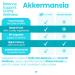 Healthfare Akkermansia Muciniphila Probiotic | 300 Billion AFU | 90 Vegan Capsules | Inulin Prebiotic for Gut Health & Digestive Support | Non-GMO Gluten-Free | Made in USA - Buy Online on GoSupps.com