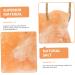 DOITOOL Livestock Salt Lick Animal Farm Supply Salt Licking Block Small Pets Lick Salt Nutrition Pendant - Buy Online on GoSupps.com