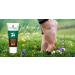 Messinian Spa Foot Cream - Oregano & Rosemary with Olive Oil & Shea Butter | Paraben-Free Animal Test-Free | Moisturizing & Relaxing Gift for Women - Buy Online on GoSupps.com