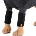 Nikou 1 Pair Dog Front Leg Braces, Dog Wound Bandage Knee Protection Bandage for Pet Surgical Wounds