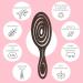 Ninabella Bio Hairbrush - Detangler for Women Men & Kids | Perfect for Curls & Long Hair | Professional Spiral Spring Brush in Chocolate Brown - Buy Online on GoSupps.com