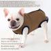 Convinite Recovery Suit for Dogs - Breathable Wound Protection After Castration | Male & Female Recovery Bodysuit | Brown Size M - Buy Online on GoSupps.com