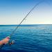 Goture Travel Fishing Rods 4 Piece Ultra Light Spinning Rod - Dark Green 8' - Best for Saltwater Trout, Bass, Walleye, Pike - Buy Online on GoSupps.com