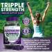Elderberry Gummies with Zinc & Vitamin C | Immune Support for Adults & Kids | 100mg Sambucus Black Elderberry Gummy | Vegan & Non-GMO | 60 Count - Buy Online on GoSupps.com