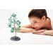 Mina Heal Crystal Gemstone Money Tree - Chakra Healing Feng Shui Good Luck & Prosperity | Green Aventurine Jade - Buy Online on GoSupps.com