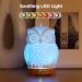 Inrorans 200ml Ceramic Owl Aromatherapy Diffuser | Ultrasonic Cool Fog Essential Oil Humidifier with LED Night Lights - 7 Color Changing - Buy Online on GoSupps.com