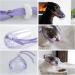 Shop Anti-Bite Cat Muzzle - Safe Bite-Proof Pet Accessories for International Shipping - Buy Online on GoSupps.com