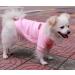 Buy Hualisiji Fleece Dog Sweater - Warm & Lightweight for Small Dogs | XL 2PCs Gray & Pink | Cozy Sweatshirt for Pets - Buy Online on GoSupps.com