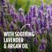 Smooth Appeal Facial Hair Remover Wax - Lavender & Argan Oil Infused 40g - Buy Online on GoSupps.com
