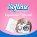 Spring Fresh Dryer Sheets 80ct - Freshen Laundry & Eliminate Static | Buy Internationally - Buy Online on GoSupps.com
