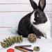 14Pcs Bunny Enrichment Toys Natural Hamster Chew Sticks Molar Guinea Pig Chew Ball Different Flavors Grass Cakes Teeth Grinding Chinchilla Treats for Syrian Hamster Rabbit Gerbil(H02) - Buy Online on GoSupps.com