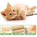 Kitten Teething Toys 6 Pcs Natural Silvervine Sticks Kitten Teething Toys Catnip Toys Chew Sticks Cat Teeth Cleaning Teeth Chew Toy for Indoor Cat Teeth Cleaning Kitten Teething and Stress Release - Buy Online on GoSupps.com