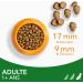 Iams Vitality - Large Breed Adult Dog Food - Promotes Health and Vitality - Buy Online on GoSupps.com