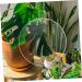 VILLCASE 40 Pcs Acrylic Round Sheet Cake Pan Acrylic Blanks Sheer Panels Acrylic Blank Circle Coaster Wafer - Buy Online on GoSupps.com