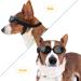 Shop Stylish Black Dog Sunglasses - Waterproof Windproof Anti-UV Protective Glasses for Small & Medium Dogs & Cats | Adjustable Strap for Outdoor & Motorcycle Activities - Buy Online on GoSupps.com