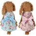 HshDUti Sweetie Bowknot Dog Dresses For Small Dogs Cats Princess Doggie Shirts Girls Puppy Shirt Spring Summer Dog Clothes Flower Print Cotton Dog Costume Outfit Blue S S Blue - Buy Online on GoSupps.com