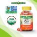Zinc Adult Organic Vegetarian Gummy 22mg Immune Support Bundle - 60ct A to Z Vitamins & Minerals + Better Idea Guide - Buy Online on GoSupps.com