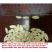 Roasted Pumpkin Seeds in Shell Sea Salted (1 lb) - Premium Quality Snack - Buy Online on GoSupps.com